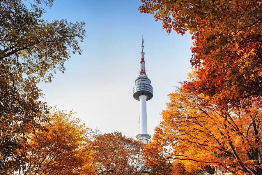 Hàn Quốc: Annyeongha-Seoul!: Seoul - Nami - Everland -  No Shopping