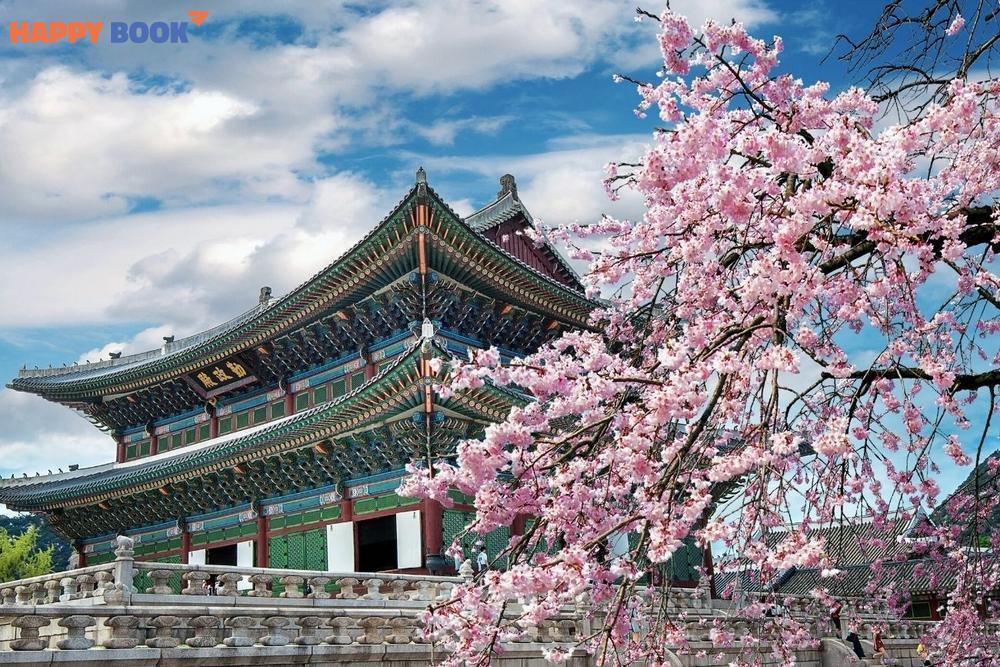 Bật Mí Thủ Tục Xin Visa Du Lịch Hàn Quốc Được Cập Nhật Mới Nhất