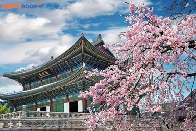 Bật Mí Thủ Tục Xin Visa Du Lịch Hàn Quốc Được Cập Nhật Mới Nhất